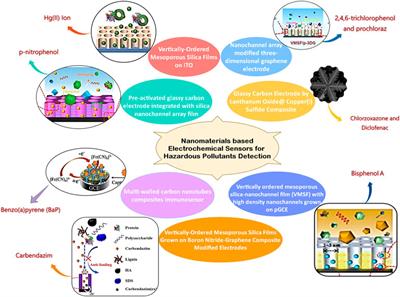 Editorial: Nanomaterials based electrochemical sensors for hazardous pollutants detection